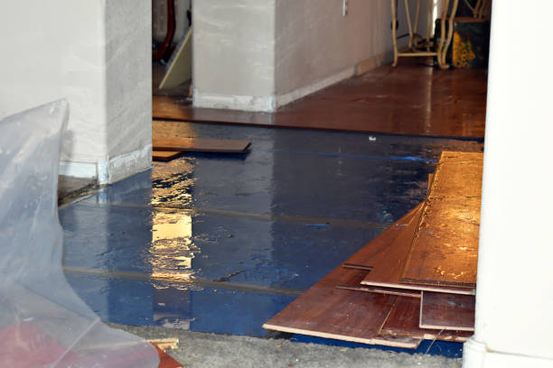 Professional Basement Water Removal technician working in Melrose, NY